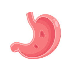 Isolated vector illustration graphic of a stomach with ulcers