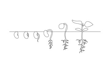 Continuous one line drawing Plant growth process Vector illustration