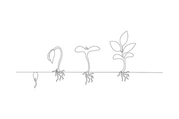 Continuous one line drawing Plant growth process Vector illustration