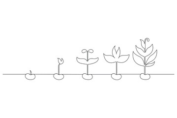 Continuous one line drawing Plant growth process Vector illustration