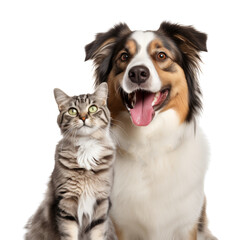 happy cat and dog isolated on transparent background cutout