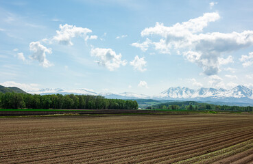 広く青い空と耕された農地
