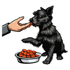 dog being fed