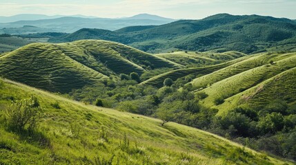 Obraz premium Eastern Europe s topography consists of hills