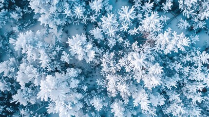 Drone captures icy floral patterns in cold weather Texture details with space for text