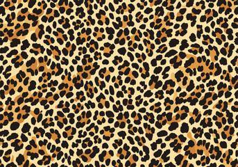 Leopard vector background
