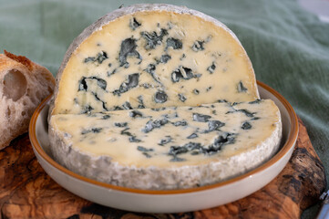 Cheese collection, piece of French blue cheese auvergne or fourme d'ambert