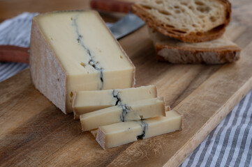 Cheese collection, French Morbier semi-soft cow milk cheese with black mold layer close up