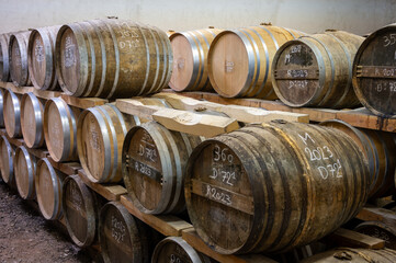 Aging process of cognac spirit in old dark French oak barrels in cellar in distillery house, Cognac...