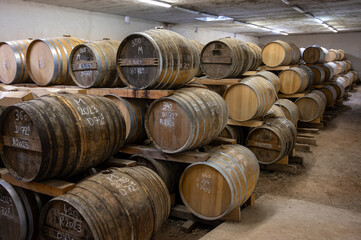 Aging process of cognac spirit in old dark French oak barrels in cellar in distillery house, Cognac white wine region, Charente, Segonzac, Grand Champagne, France