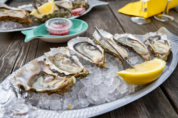 Eating of fresh live oysters with citron at farm cafe in oyster-farming village, Arcachon bay,...
