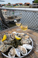 Eating of fresh live oysters with citron at farm cafe in oyster-farming village, with view on boats...