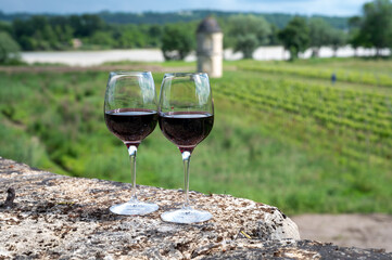 Glasses of french dry red wine in old wine domain on Graves vineyards in Portets village and old castle on background, Bordeaux, France