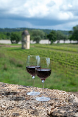 Glasses of french dry red wine in old wine domain on Graves vineyards in Portets village and old castle on background, Bordeaux, France