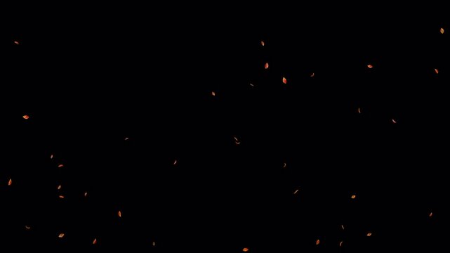 水彩イラスト風の舞い落ちる紅葉した葉 小さめ(透過背景　ループ素材 4K)