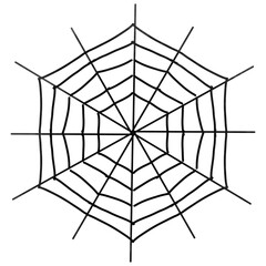 Obraz premium spider web