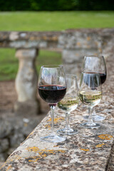 Glasses of white and red wine in old wine domain on Graves vineyards in Portets village and old castle on background, Bordeaux, France