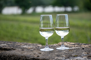 Glasses of white wine in old wine domain on Sauternes vineyards in Barsac village and old castle on background, Bordeaux, France