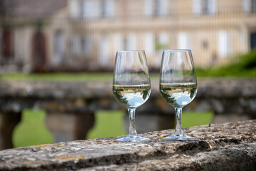 Glasses of white wine in old wine domain on Sauternes vineyards in Barsac village and old castle on background, Bordeaux, France