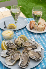 Champagne sparkling wine in glasses and oysters from Arcachon bay served on oysters farm in Gujan-Mestras, with lemon, baquette bread, butter