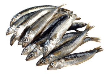 Fototapeta premium Photo of Anchovies isolated on transparent background