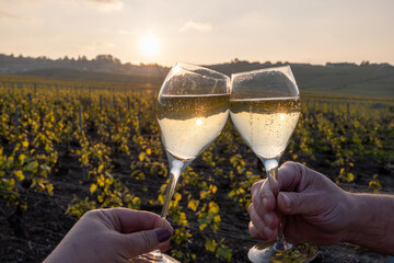 Tasting of grand cru sparkling brut white wine champagne on sunny vineyards of Cote des Blancs in village Cramant, Champagne, France, glasses of wine in hands