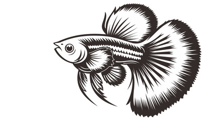 Aquarium guppies with a beautiful tail