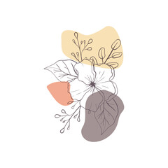 aesthetic vector decoration