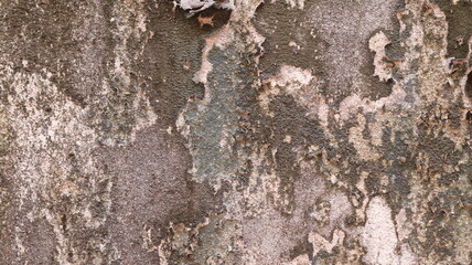 concrete wall texture