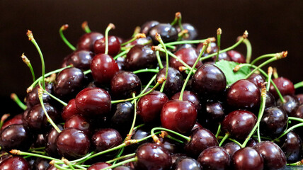 Cherries close-up, fresh and splashed with water