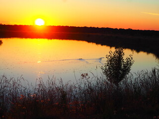 Sunset in hues of reddish-orange and yellow over the lake on a summer day.