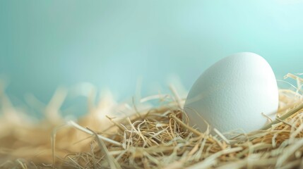 Obraz premium Single white egg in hay nest. A single white egg rests in a soft hay nest against a blue background.