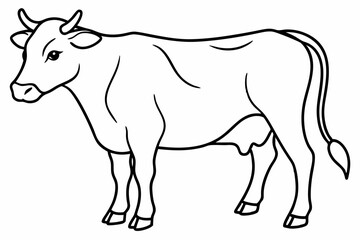 cow line art vector illustration	
