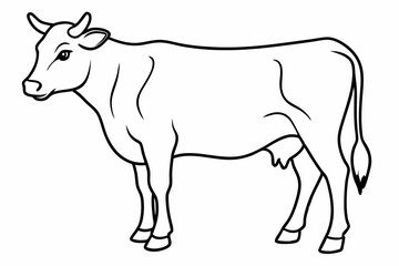 cow line art vector illustration	

