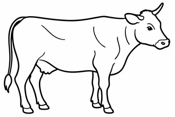 Fototapeta premium cow line art vector illustration 