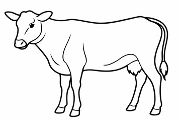 cow line art vector illustration	
