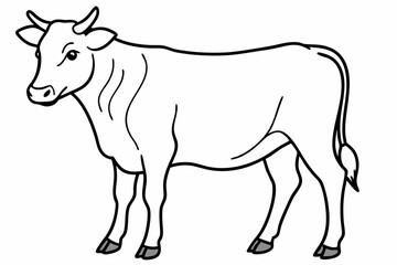 cow line art vector illustration	
