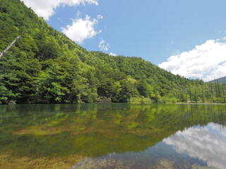 上高地　初夏の明神池