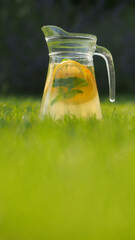 A pitcher of lemon and mint-infused water on a vibrant green lawn in the backyard.