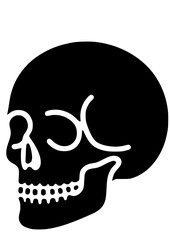 Skull SVG, Bones SVG, Skeleton SVG, Death SVG, Pirates SVG, Head SVG, Skull Silhouette, Skull Clipart, Skull Vector, Cut file for Cricut SVG, JPG, PNG