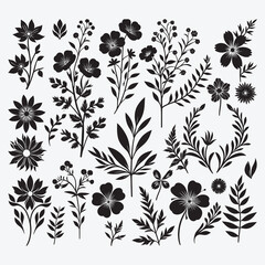 Hand Drawn Floral Ornaments and Decoration Elements Collection