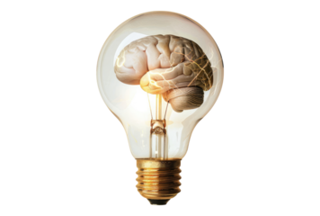 Photo of brain inside a light bulb glowing isolated on transparent background