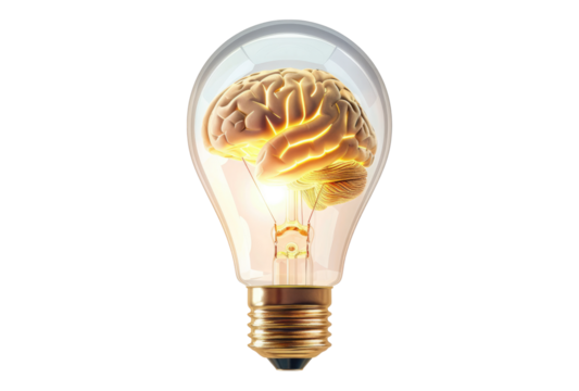 Photo of brain inside a light bulb glowing isolated on transparent background