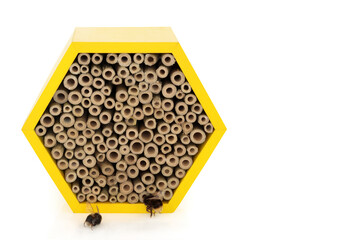 Bee house for conservation and protection with honey bees on white. Eco friendly shelter hexagonal...