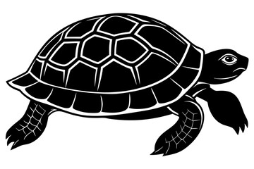 Turtle marine animal icon. Sea turtle silhouette. vector illustration


