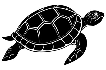 Turtle marine animal icon. Sea turtle silhouette. vector illustration


