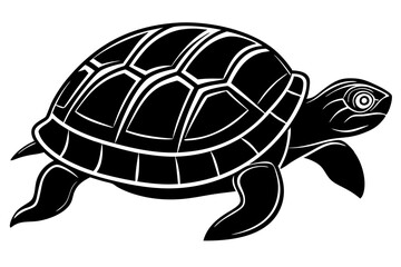 Turtle marine animal icon. Sea turtle silhouette. vector illustration


