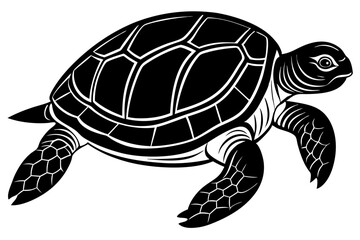 Turtle marine animal icon. Sea turtle silhouette. vector illustration


