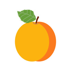 Apricot fruit, ripe garden vector plant whole . Cartoon juicy natural healthy farm fruit, organic production isolated design element on white background