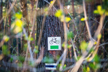Oznaczenie drogi dla rowerów na drzewie w lesie. Poland Świętokrzyskie. © Leszek